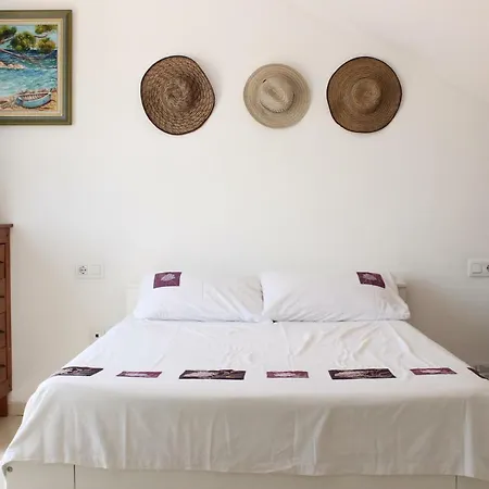 Accommodatie bij particulieren Newly Renovated Discover The Truth About Our Beautiful Oceanfront In Recent Renovations And New Management Ensure An Unforgettable Book Now And Experience It For Yourself
